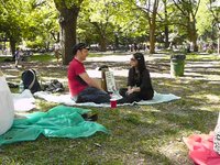 Liars Picnic