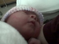 Hazel Day 3