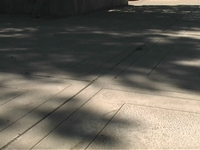 White V-neck Edit-2008 Clips