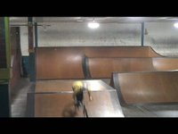 flipcam clips from last winter