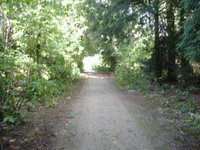 Wooded Walking Path Around the Bosbaan