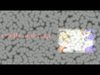 NPIRL/vimeo