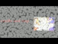cradle and trap