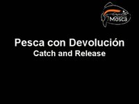 PescandoConMosca.cl - Catch and Release