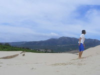Dune Flip
