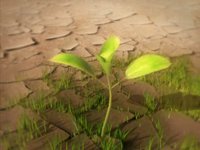 Science For The Benefit of Humanity
