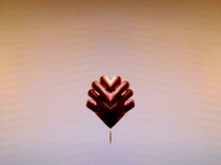 Twin Hand Force