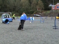 Junior på Høststevenet i Bergen