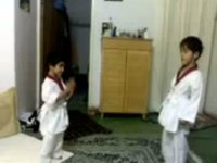 LITTEL FIGHTER