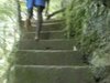 Excursion to Bassin Bleu
