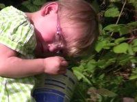 Blackberry Picking With Madeleine.