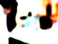 face is fake (video study)