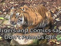 Comics Join Forces with Tigers to say Don't Palm us Off