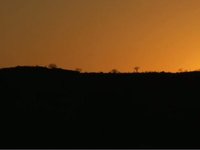 Waypoint Namibia Trailer