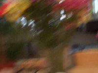 VIDEO REPLY: Sophia, 3 yo, dancing to the Music Box