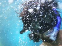 Waterproof