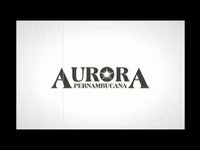 Aurora pernambucana