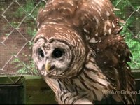 Carolina Raptor Center