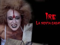 TRHILLER SORPRESA ANDONI-AURORI