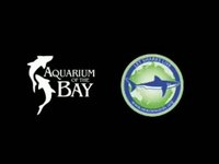 Celebrate the Sharks October 16 & 17 in San Francisco