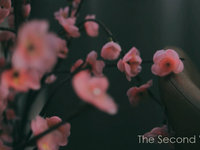 The Second Vision