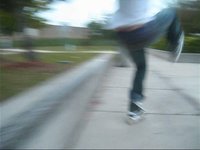 jungle skating