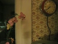 homefilm