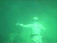 Diving In Goleta