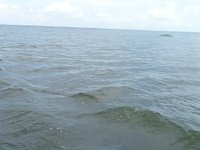 Kumarakom