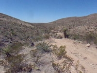 bulldozing on lower sunset trail