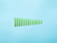 Xylophone