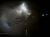 Trapcode Particular 2.0 test