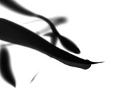 AfterEffect Particles study
