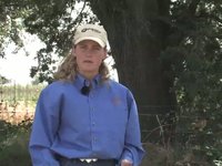 3rd Cut Basic Obedience
