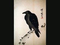 The Adventures of Little Crow