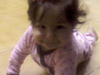 gatinha engatinhando