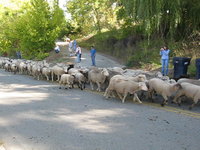 2009 Bayfield Heritage Days