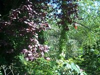 Highgate Cemetery - London