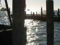 Cape Cod in Summer