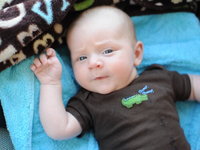 Finn @ 2 Months Old