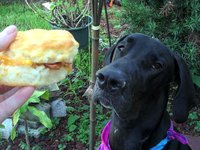 Falcor Eating Breakfast
