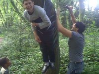Sticky Tree