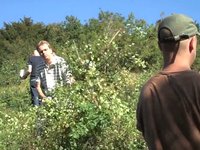 RBI Volunteer Day at Box Hill