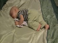 Sorta Crawling