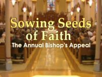 Bishop's Appeal