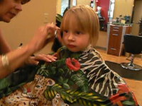 Indigo's Haircut 1