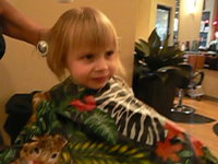 Indigo's Haircut 2