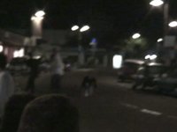 THE HOSSEGOR GIFT