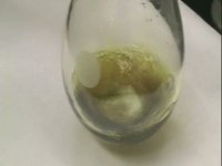 Tin-Carbon bonding in action