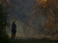 Bear Valley Fire Escondido CA 9-28-09